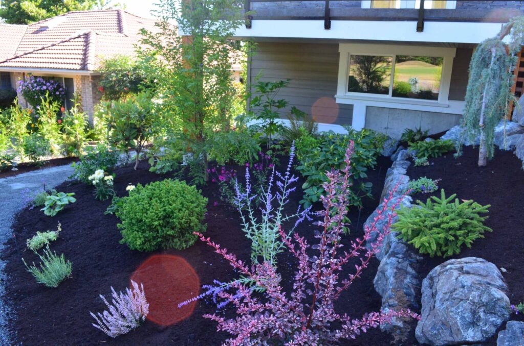 DSC_1083-scaled Landscaping example: an assortment of colourful shrubs, trees, and flowers.