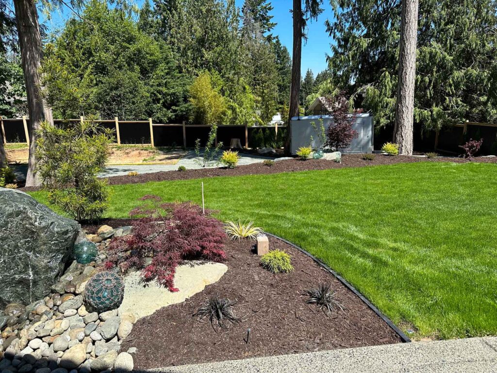 IMG_0700-scaled-2 Different textures and statements in a backyard landscaping project.