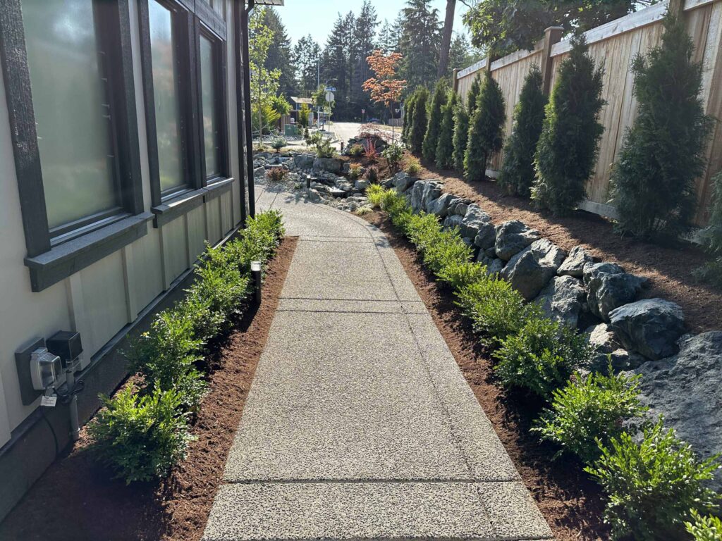 IMG_0803-scaled Landscaping example: Narrow pathway outlined with bright green shrubs and a stone retaining wall
