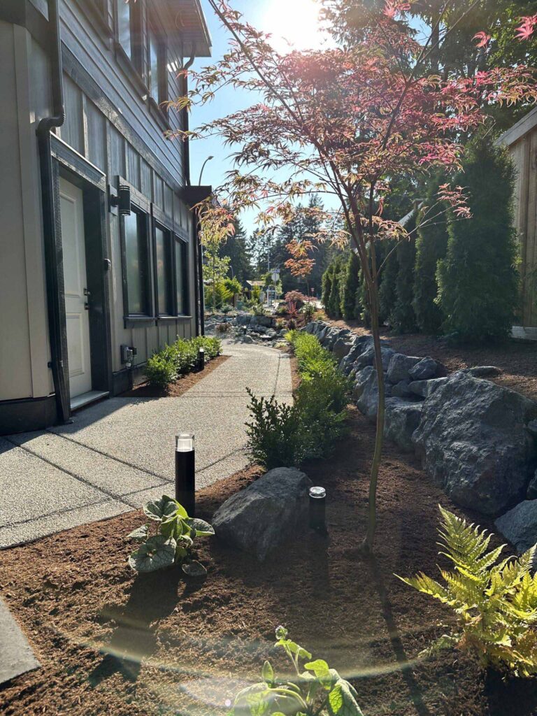 IMG_0812-scaled Rock retaining wall, a tree, and a few select shrubs line a walkway.