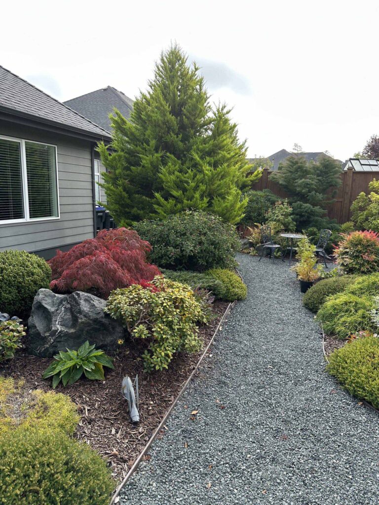 IMG_1391-scaled Pebble pathway with low maintenance landscaping on either side.