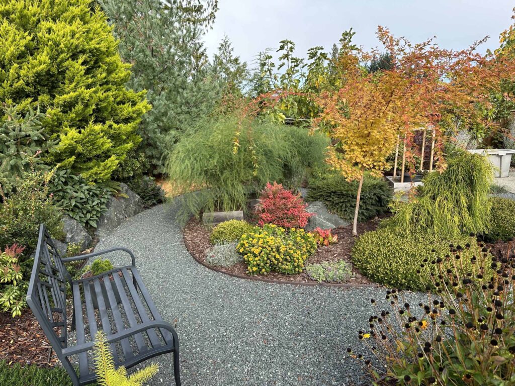 IMG_1392-scaled Landscaping example: A bench provides a serene place to rest within this beautifully landscaped space.