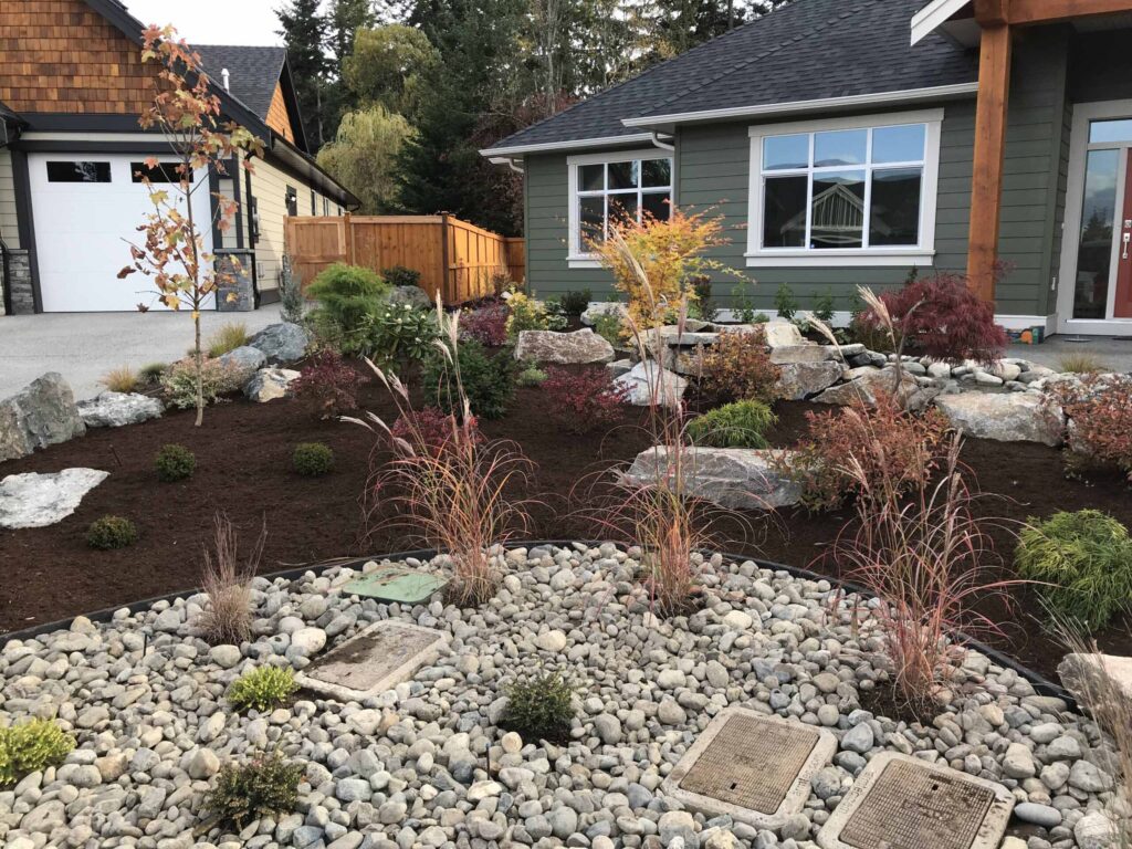 IMG_2195-scaled Landscaping example: low maintenance landscaping with a variety of plants