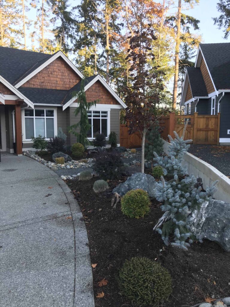 IMG_2325-scaled Landscaping example: low maintenance shrub garden